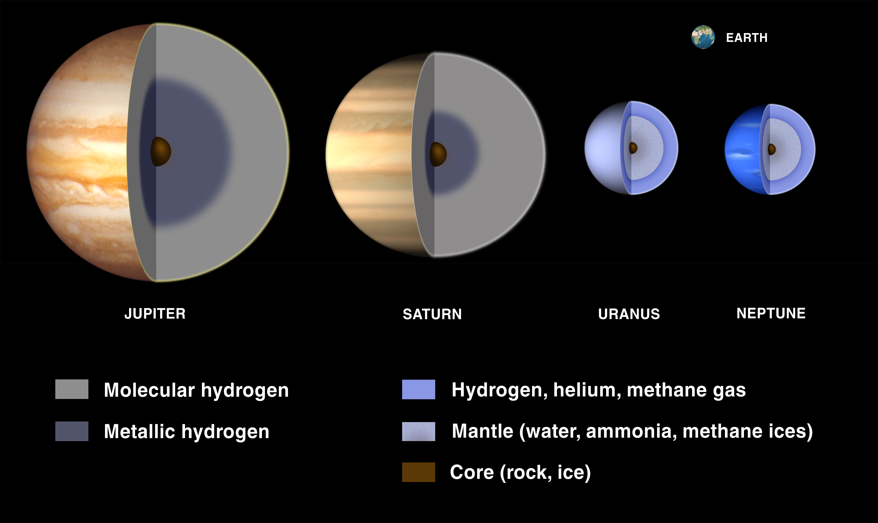 Jupiter and Saturn shown lwith mostly gaseous interiors, Uranus and Neptune are mostly icy oceans