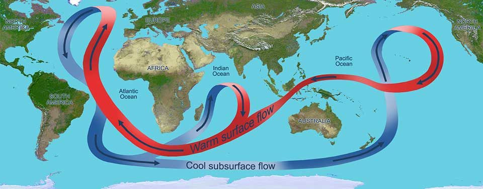 Warm and cool currents looping around oceans and continents