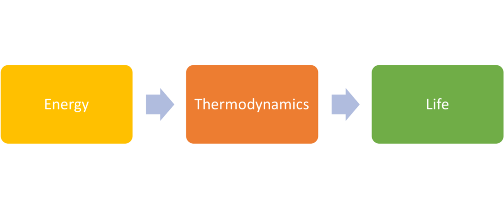 Energy to Thermodynamics to Life